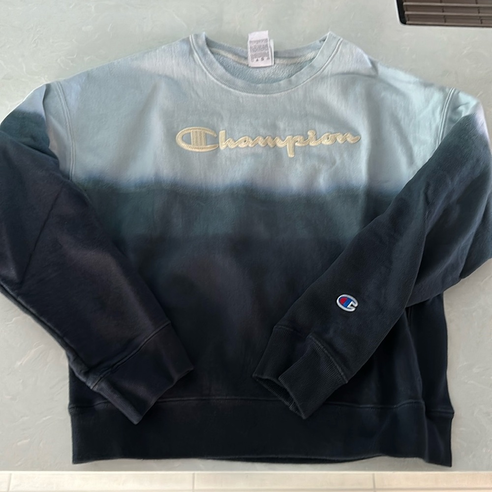 Champion Ombré Blue Sweatshirt Juniors Large